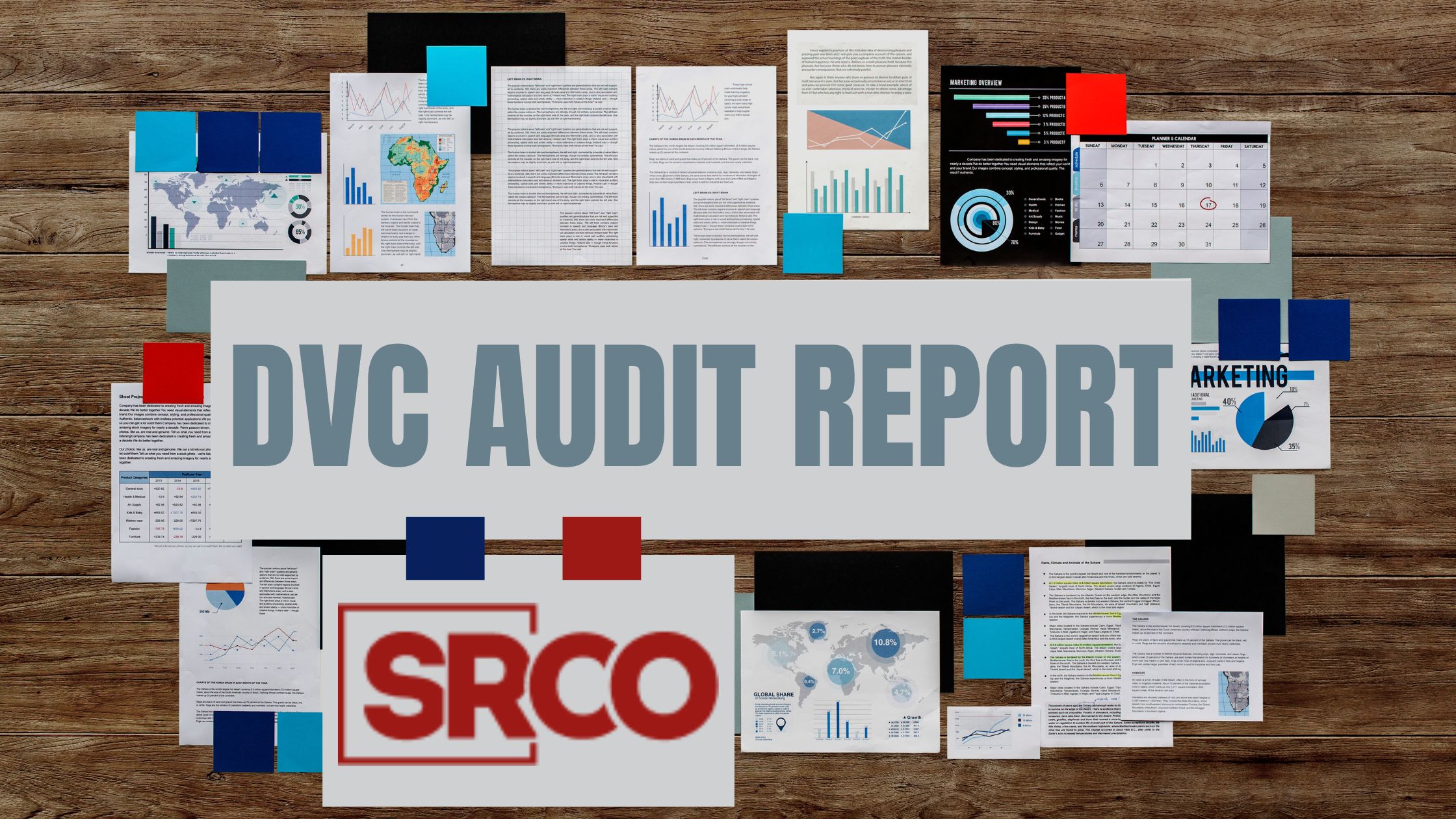 DVC audit report